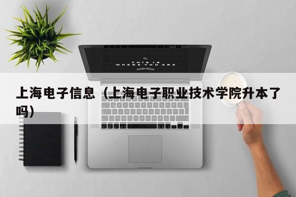 上海电子信息（上海电子职业技术学院升本了吗）